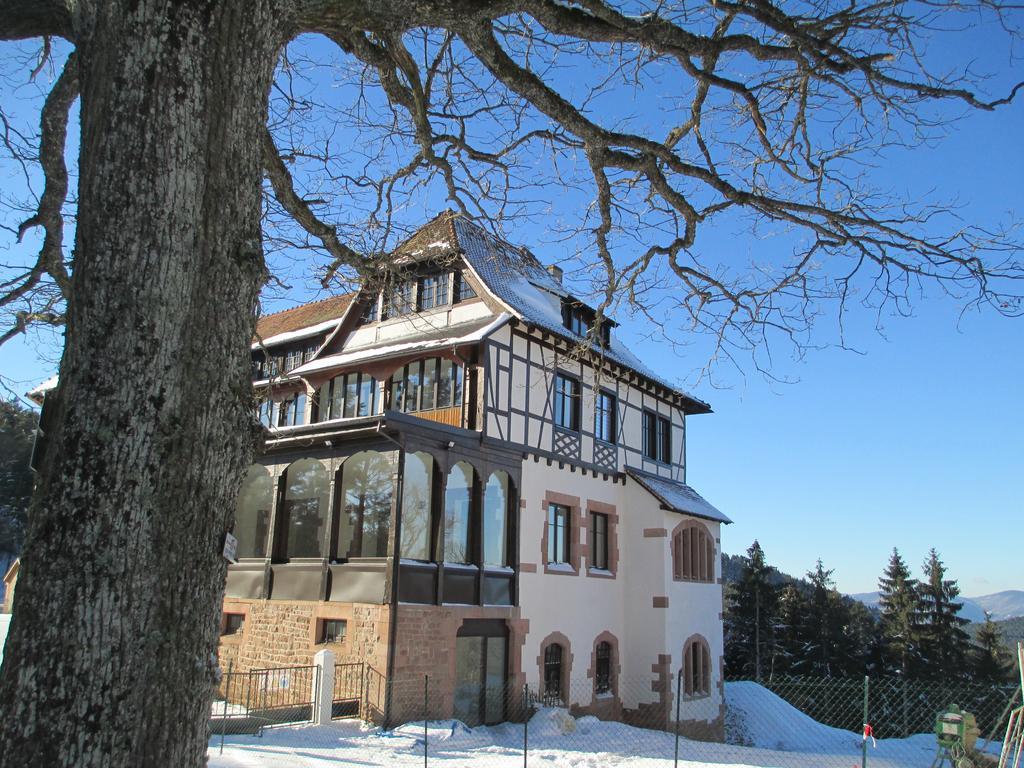 Logis Du Haut-Koenigsbourg Thannenkirch Kültér fotó